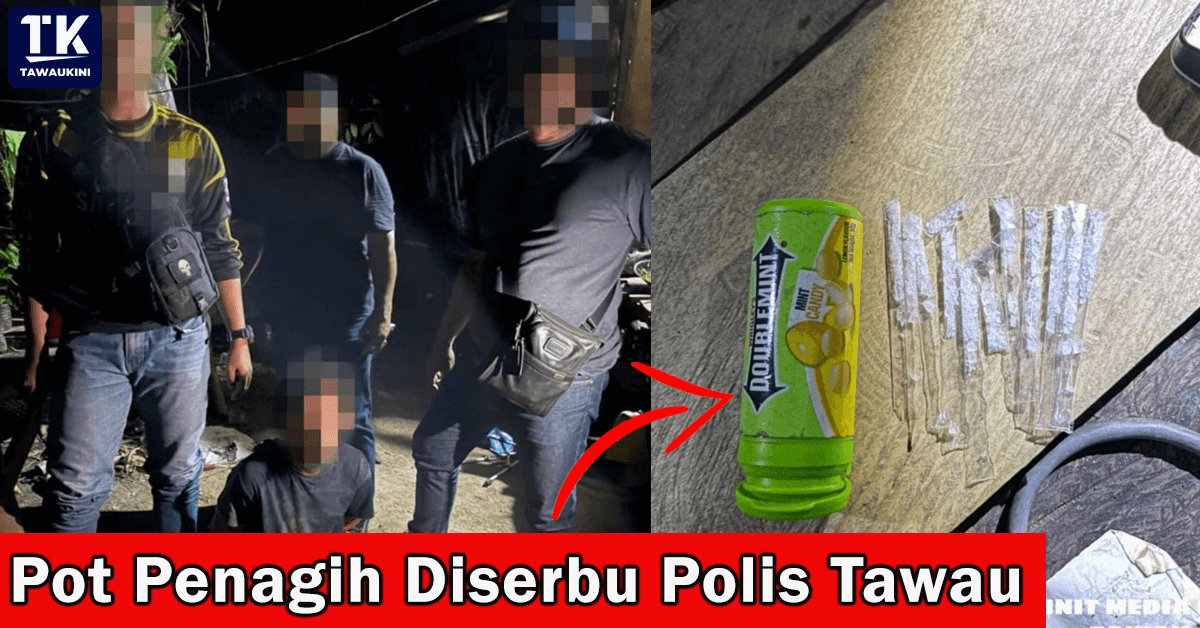 Pot Penagih Diserbu Polis Tawau