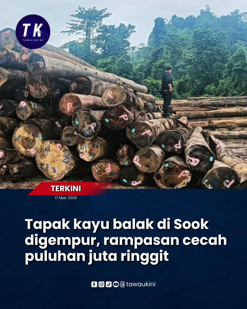 Tapak kayu balak di Sook digempur, rampasan cecah puluhan juta ringgit