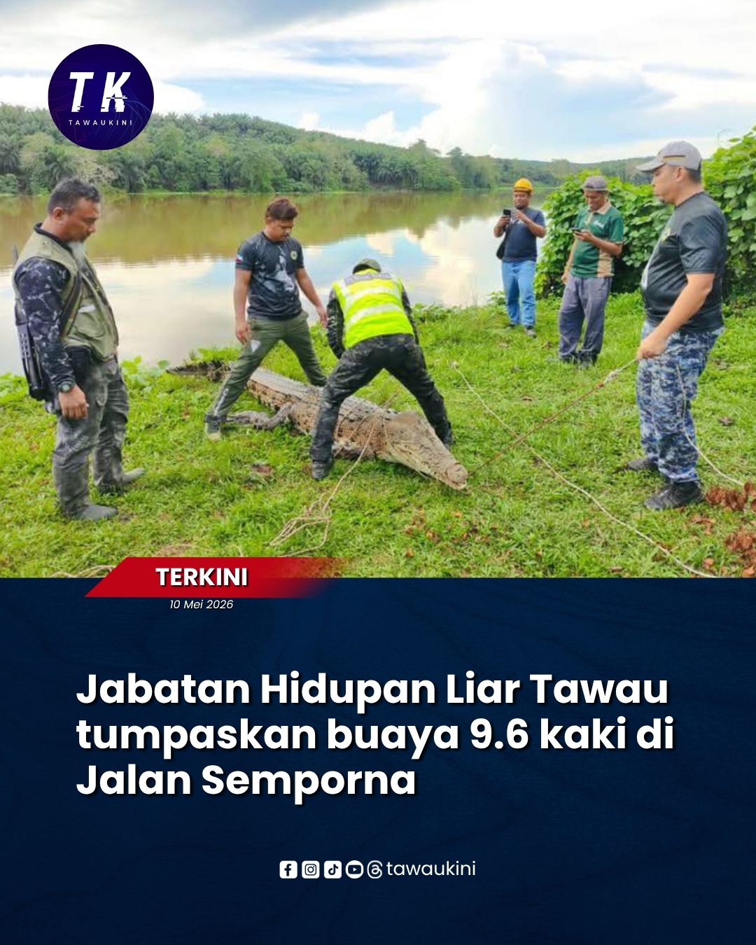 Jabatan Hidupan Liar Tawau tumpaskan buaya 9.6 kaki di Jalan Semporna