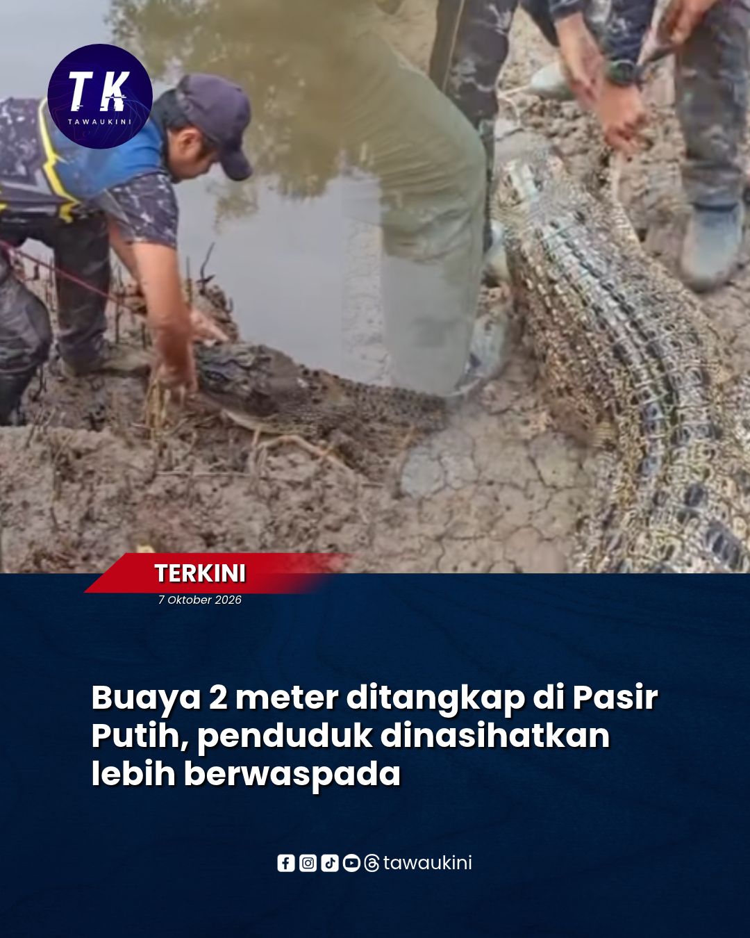 Buaya 2 meter ditangkap di Pasir Putih, penduduk dinasihatkan lebih berwaspada